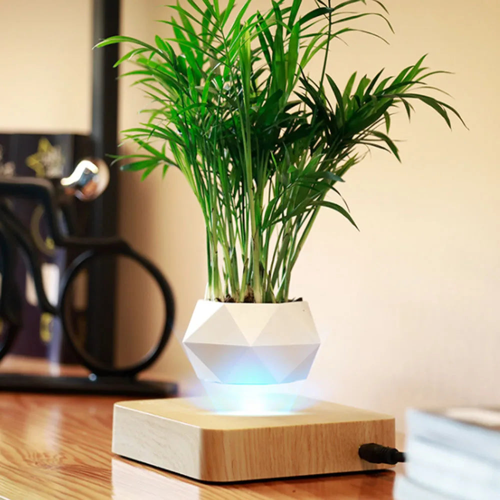 Levitate Luxe Bonsai Planter - Een betoverende zwevende vitrine