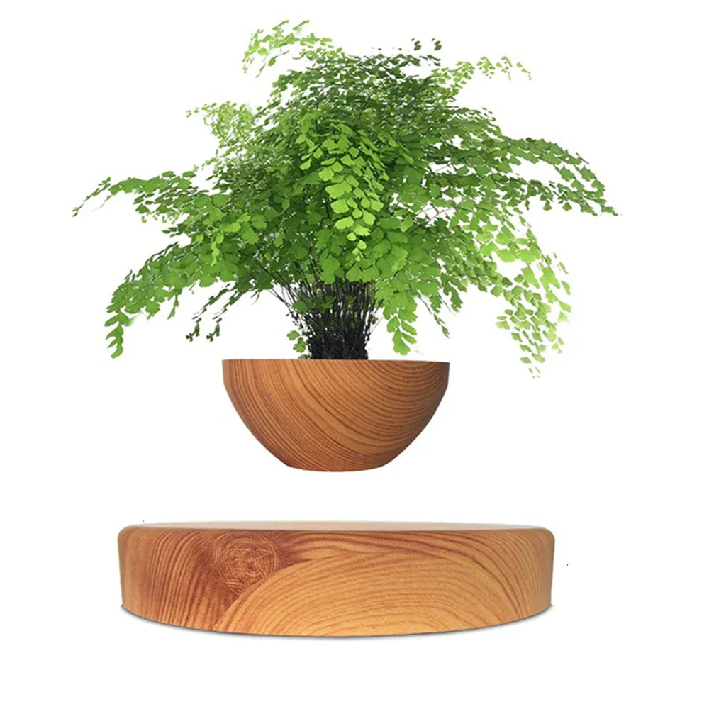 Levitate Luxe Bonsai Planter - Een betoverende zwevende vitrine