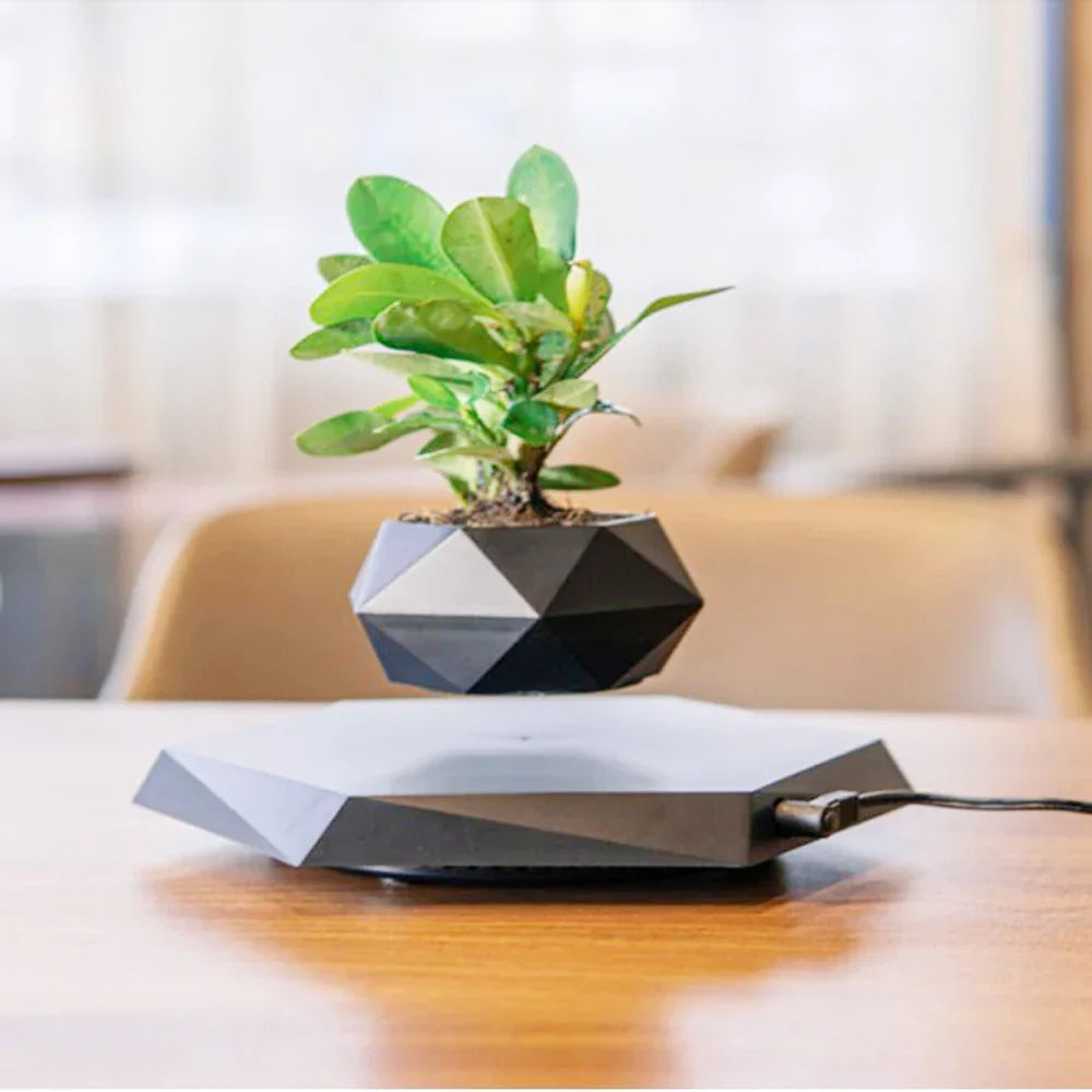 Levitate Luxe Bonsai Planter - Een betoverende zwevende vitrine