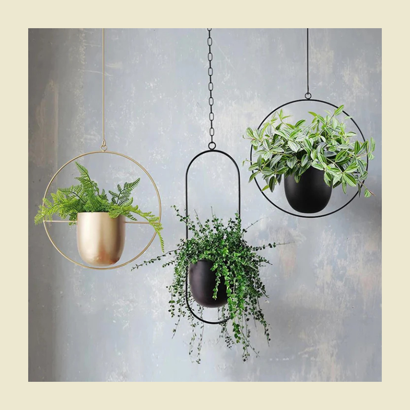 Moderne minimalistische wandplanter – elegant hangend plantenframe