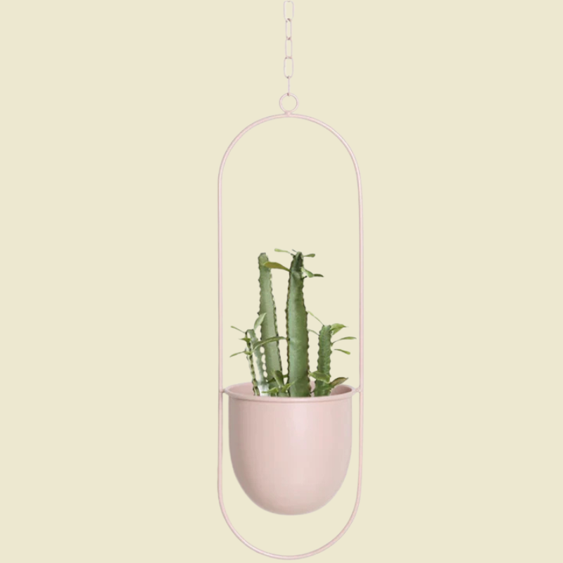 Moderne minimalistische wandplanter – elegant hangend plantenframe