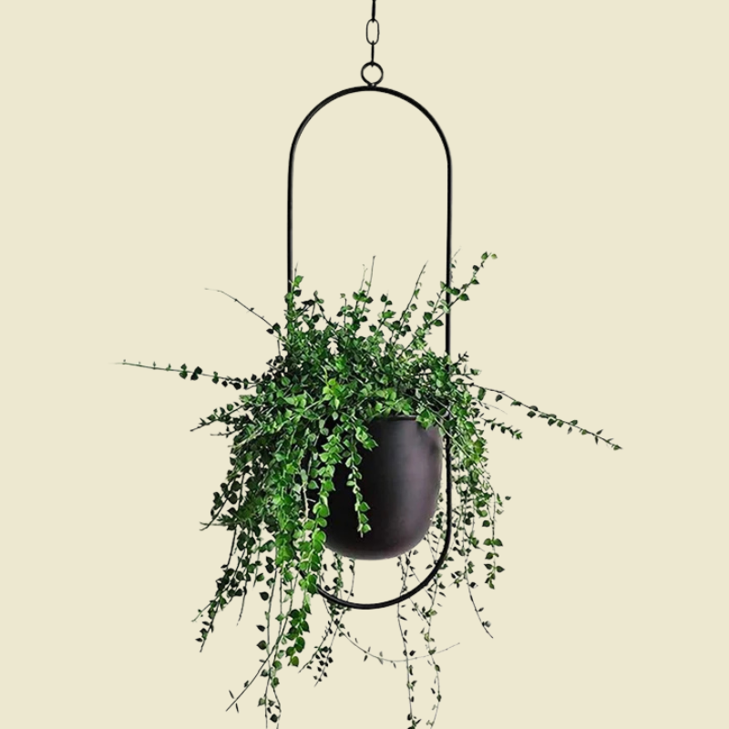Moderne minimalistische wandplanter – elegant hangend plantenframe