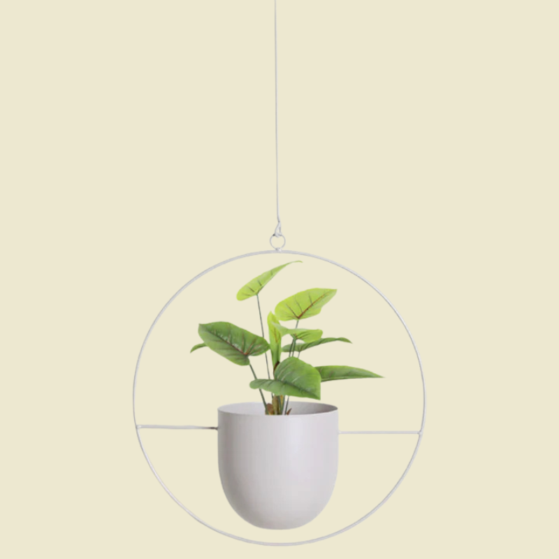 Moderne minimalistische wandplanter – elegant hangend plantenframe